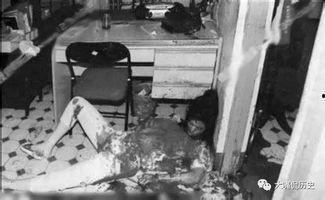 后巷凶杀案,揭开命案背后的真相之谜