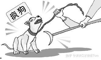 像疯狗一样,疯狗般的激情演绎