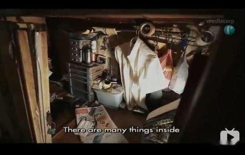 九子阵亡，我背棺上阵